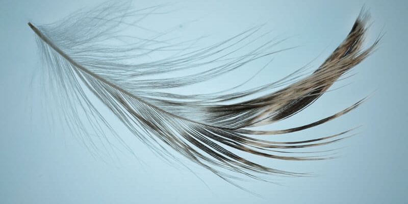 Somatic Experiencing